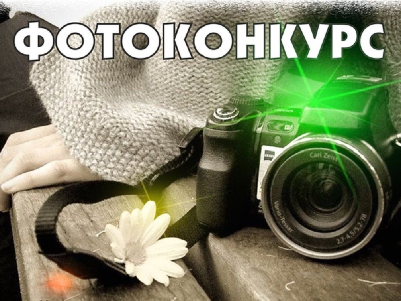 Областной конкурс фотографий «Голосование в объективе-2020».