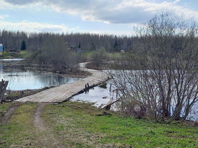 15 километров пешком через лес в поисках пунктов ГГС.