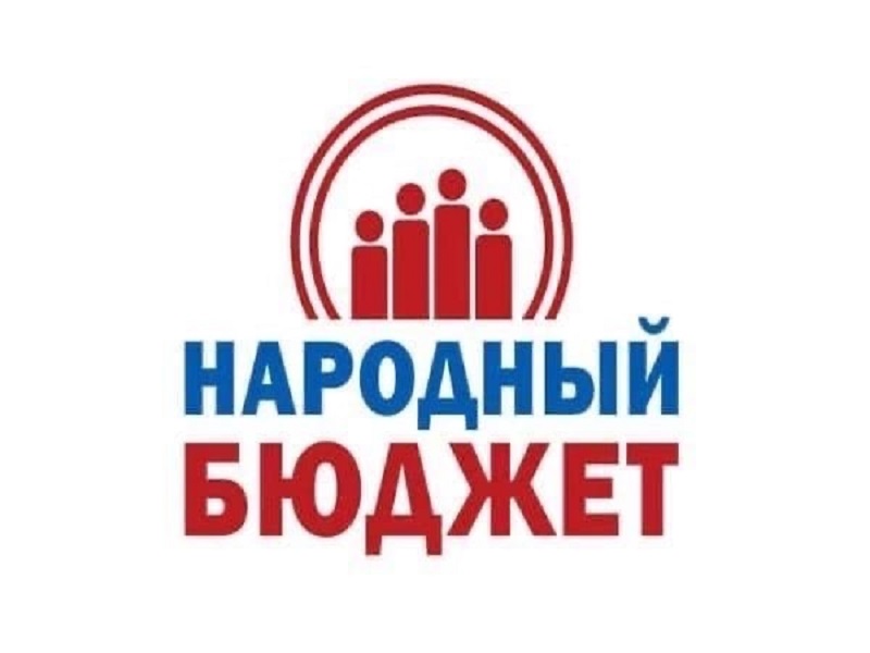 В соответствии со Стратегией социально-экономического развития Новгородской области до 2026 года в Новгородской области реализуется приоритетный региональный проект «Народный бюджет».
