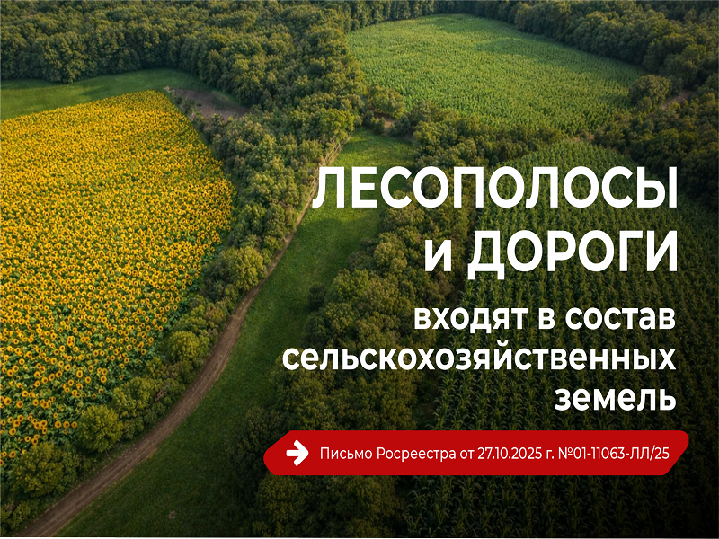 Лесополосы и дороги  входят в состав сельскохозяйственных земель.