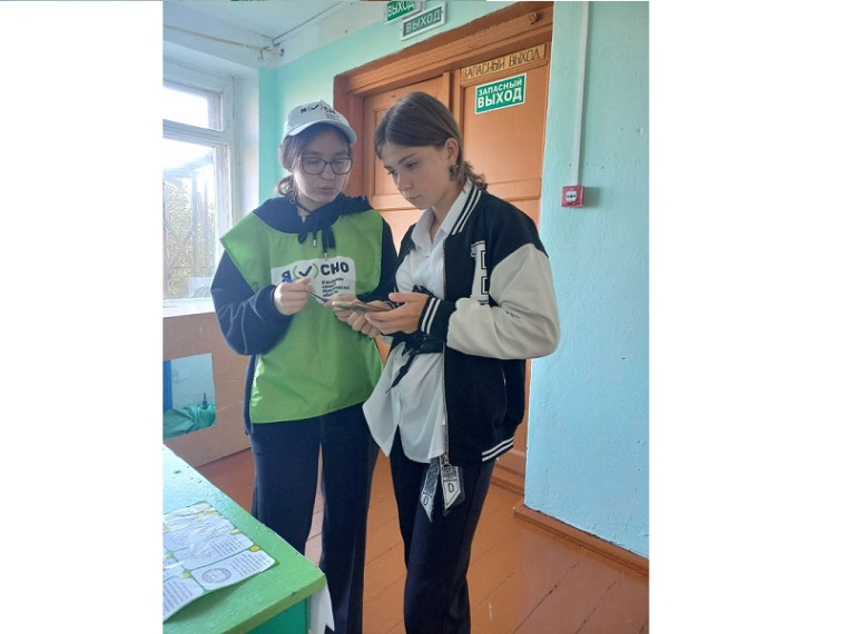 Сегодня волонтеры оказывали помощь в голосовании за выбор символа Новгородской области обучающимся МАОУ "СОШ с. Поддорье".